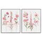 Stupell Industries Soft Fresh Pastel Sprigs 2pc Framed Giclee Set Design by Sally Swatland